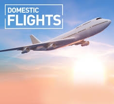 Domestic Flights